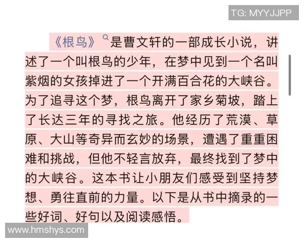 史鸿飞的传奇人生与不屈精神探索启示我们追求梦想的勇气与坚持