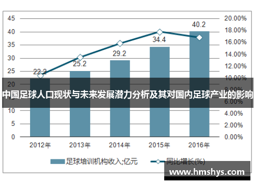 中国足球人口现状与未来发展潜力分析及其对国内足球产业的影响