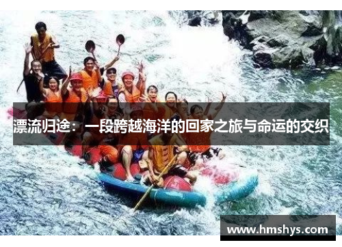 漂流归途：一段跨越海洋的回家之旅与命运的交织