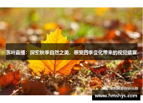 落叶直播：探索秋季自然之美，感受四季变化带来的视觉盛宴