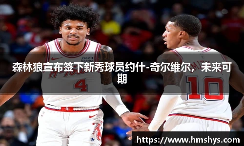 森林狼宣布签下新秀球员约什-奇尔维尔，未来可期