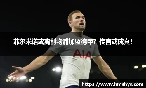 菲尔米诺或离利物浦加盟德甲？传言或成真！